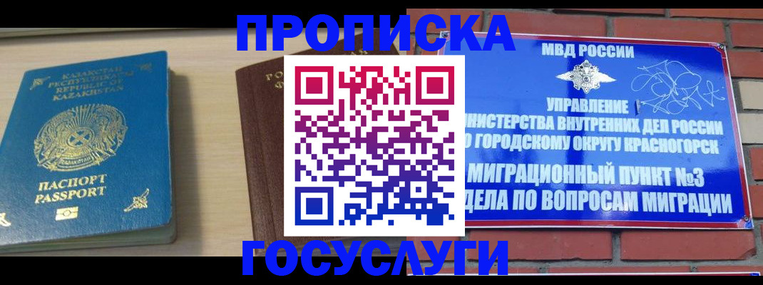 временная регистрация адрес в Щёлково